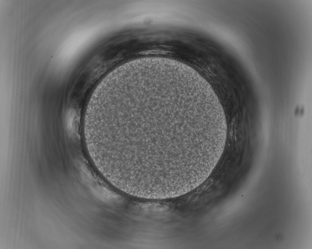 X0000112040146200908241611