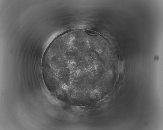 X0000112040147200908241611
