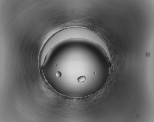 X0000112040148200908241611