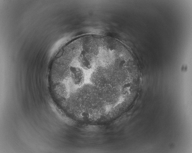 X0000112040149200908241611