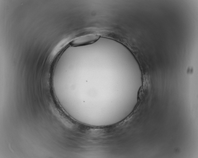 X0000112040150200908241611