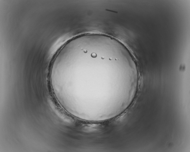 X0000112040151200908241611