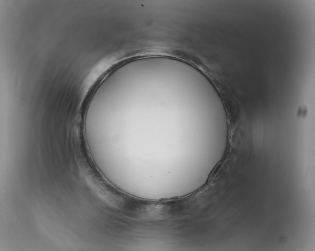 X0000112040152200908241611