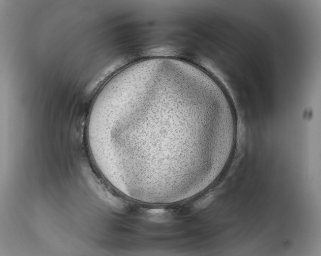 X0000112040153200908241611