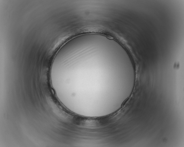 X0000112040154200908241611