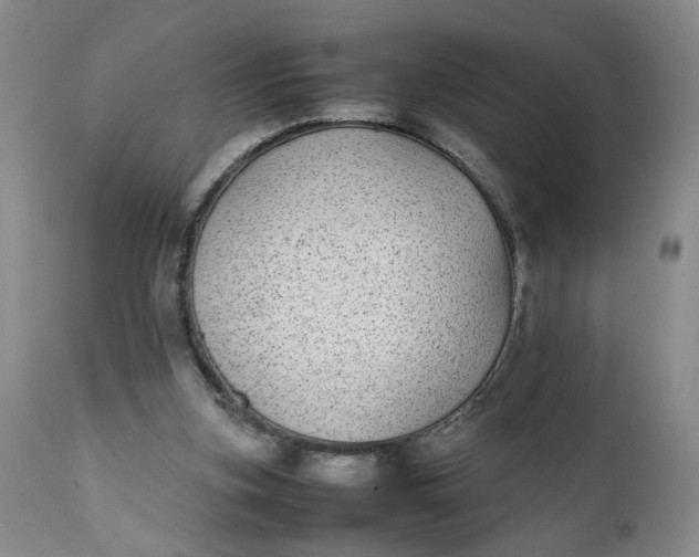 X0000112040155200908241611