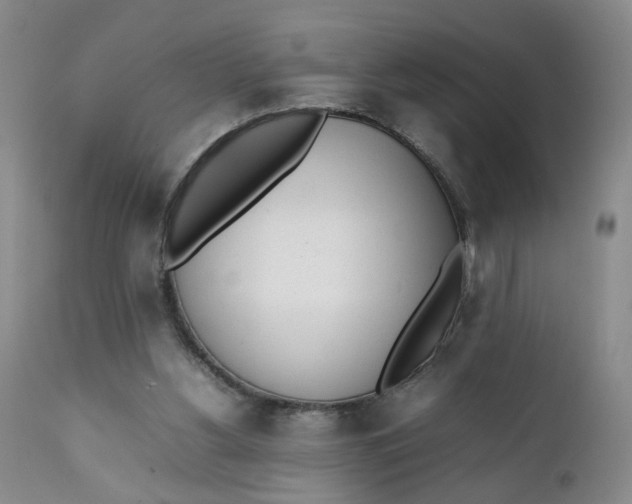 X0000112040156200908241611
