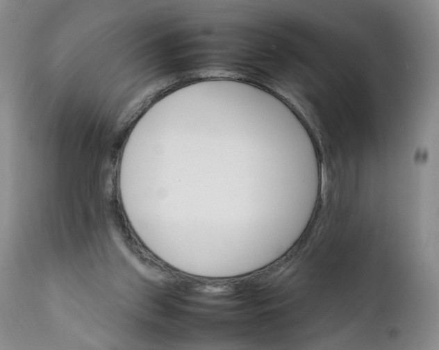 X0000112040157200908241611