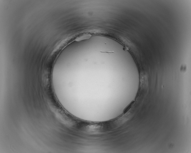 X0000112040158200908241611