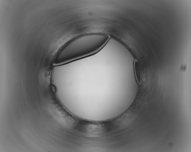 X0000112040160200908241611