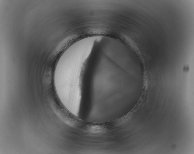 X0000112040163200908241611