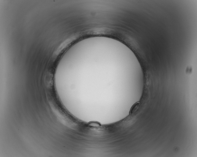 X0000112040164200908241611