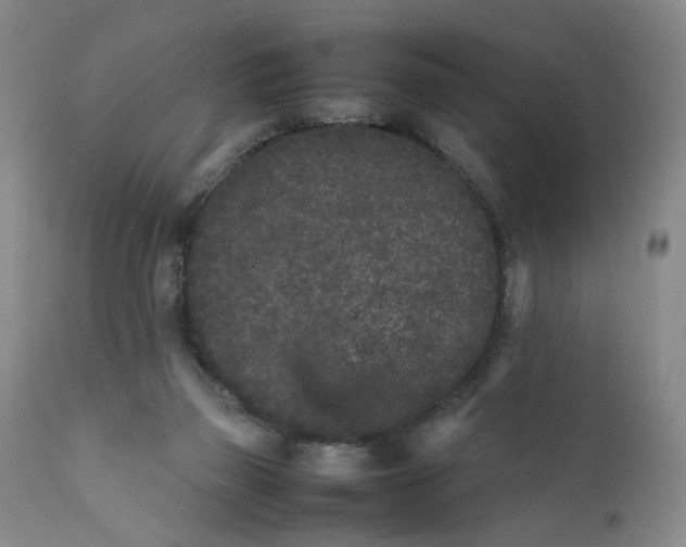 X0000112040165200908241611