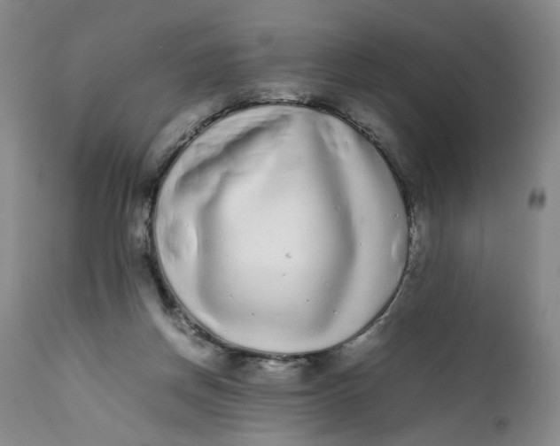 X0000112040166200908241611