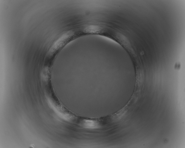 X0000112040167200908241611