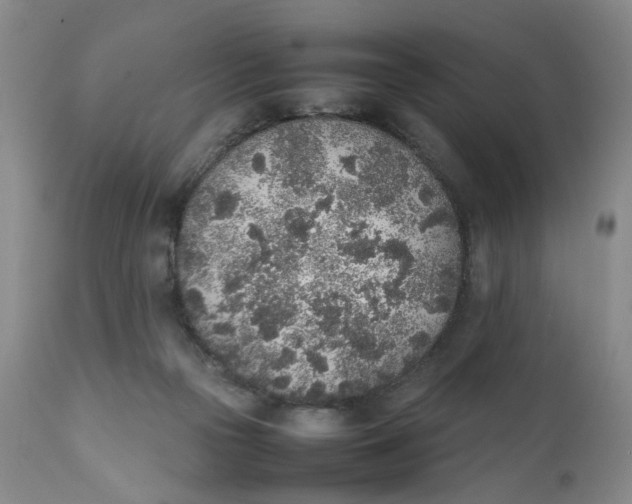 X0000112040169200908241611