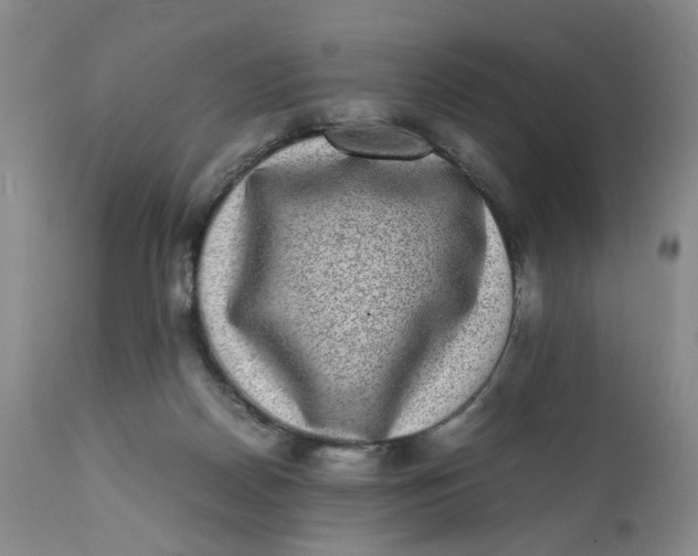 X0000112040170200908241611