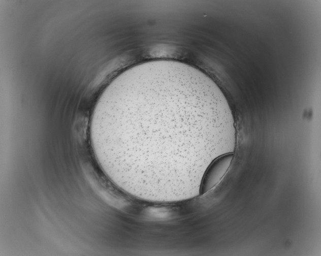 X0000112040171200908241611