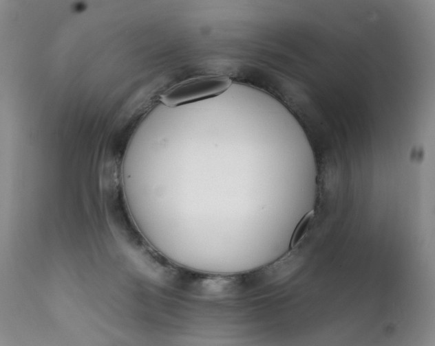 X0000112040172200908241611