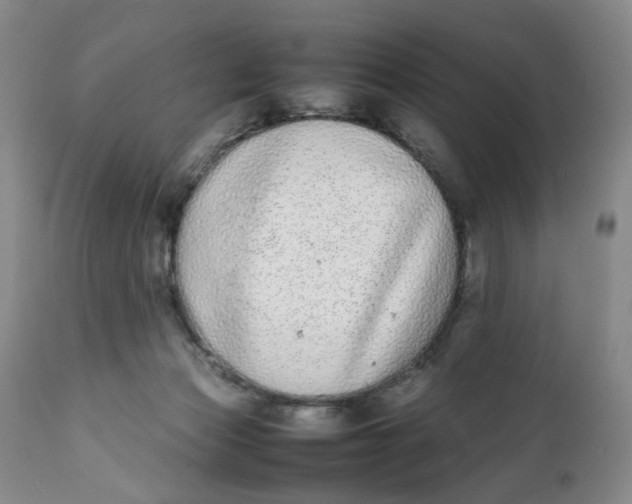 X0000112040173200908241611