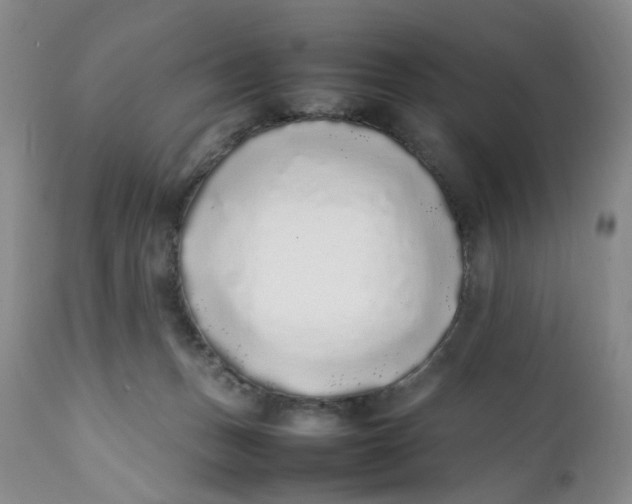 X0000112040175200908241611