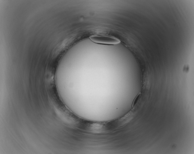 X0000112040176200908241611