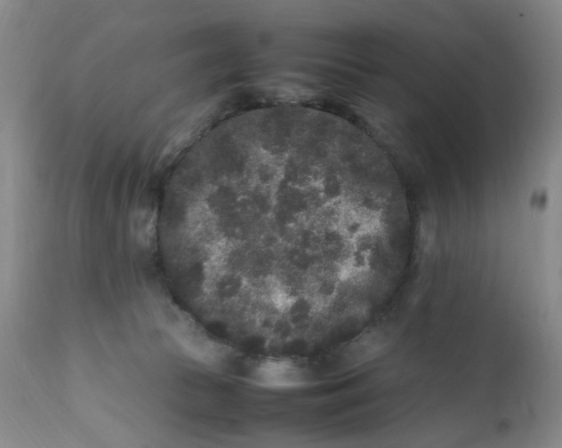 X0000112040177200908241611