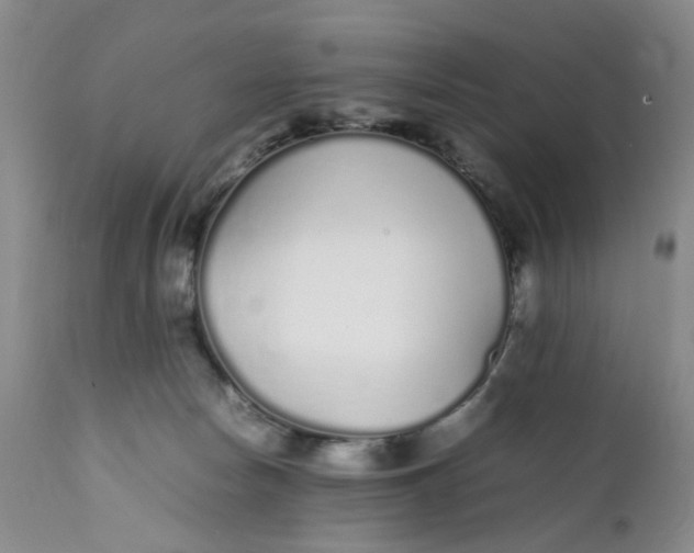X0000112040178200908241611
