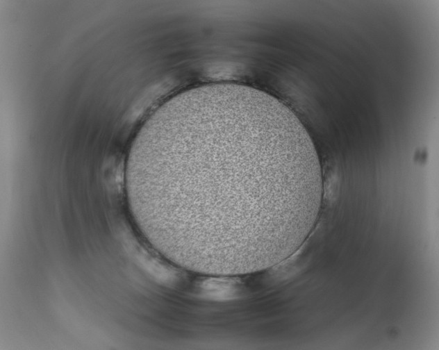 X0000112040179200908241611