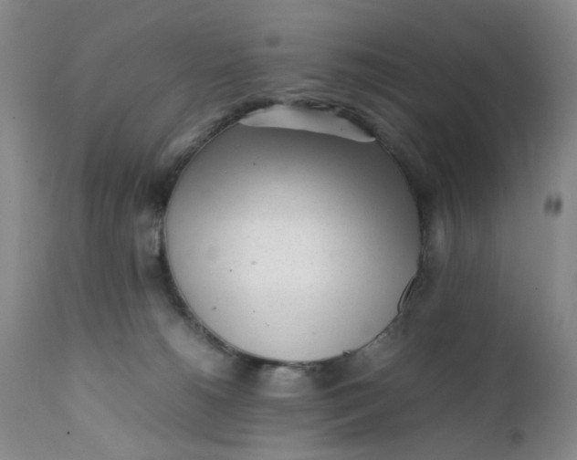 X0000112040180200908241611