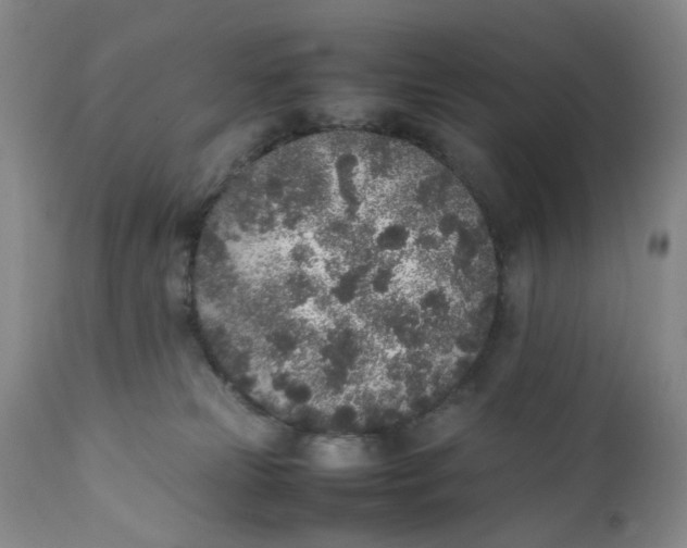 X0000112040181200908241611