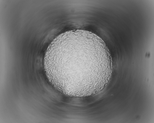 X0000112040182200908241611