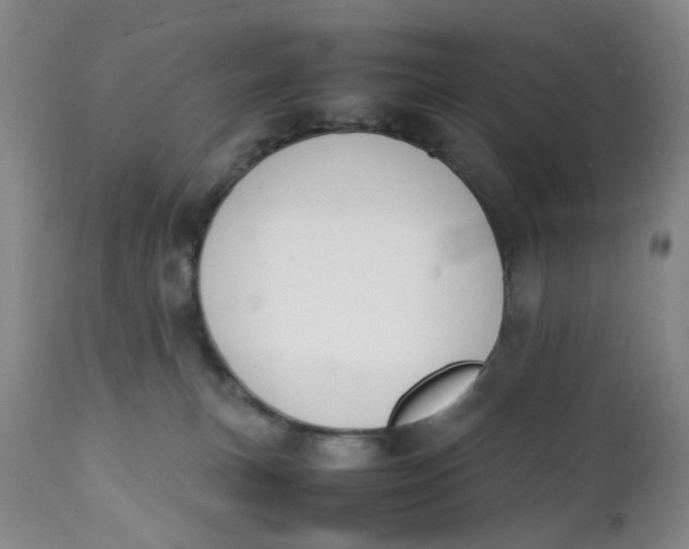 X0000112040183200908241611