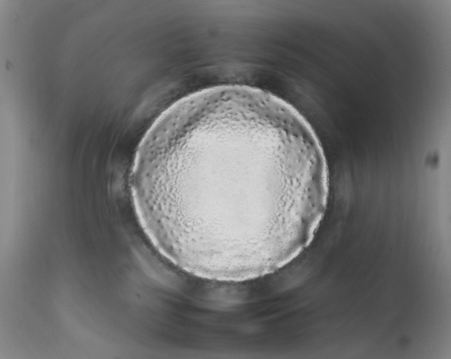 X0000112040185200908241611