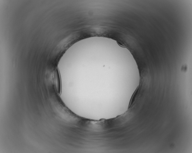 X0000112040188200908241611