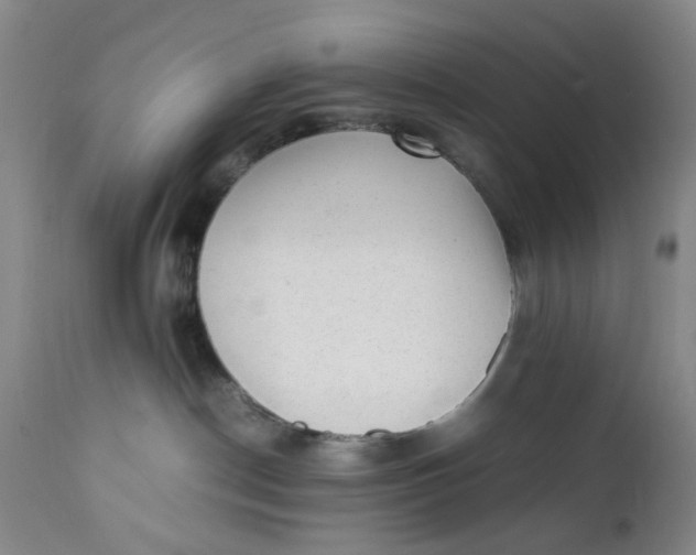 X0000112040190200908241611