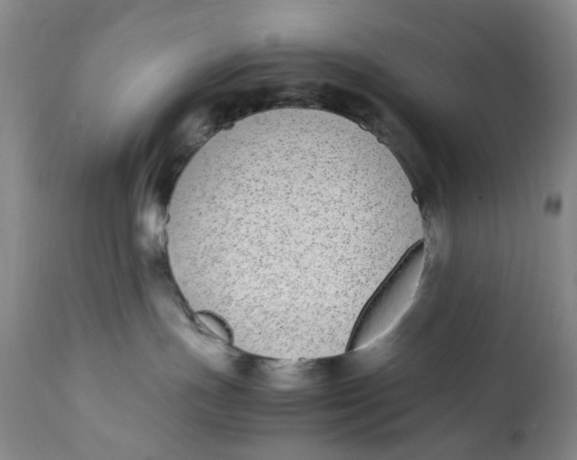 X0000112040191200908241611