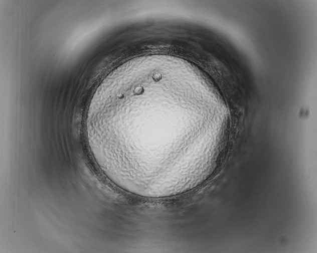 X0000112040194200908241611