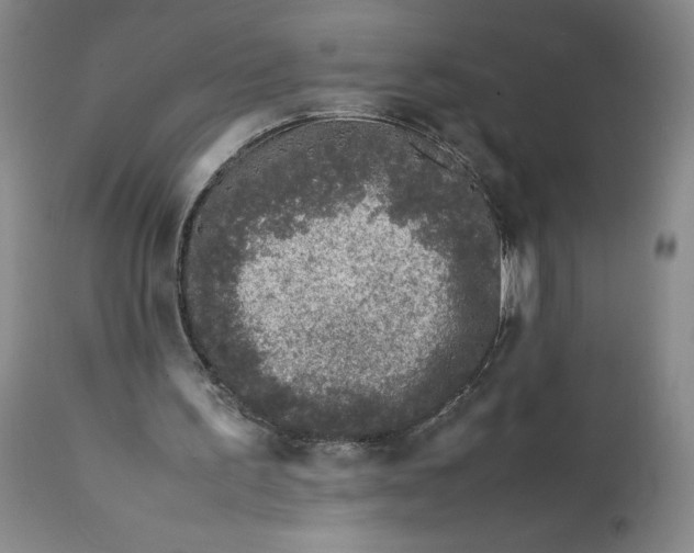 X0000112040195200908241611