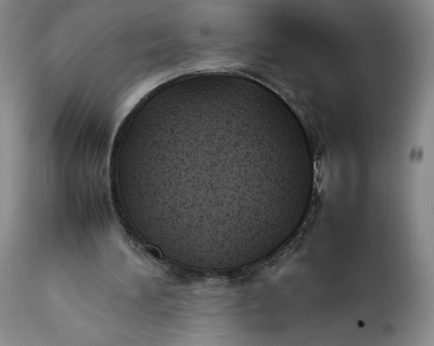 X0000112040196200908241611