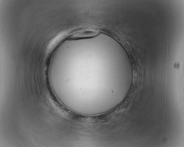 X0000112040197200908241611