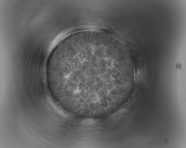 X0000112040198200908241611