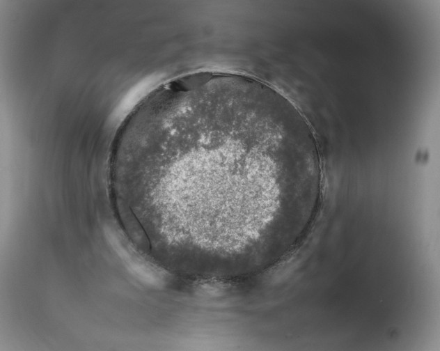 X0000112040199200908241611