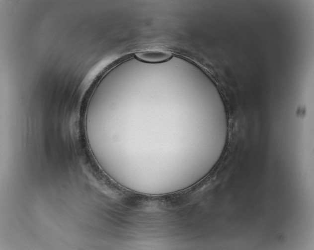 X0000112040200200908241611