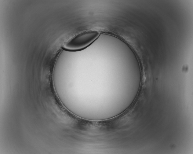 X0000112040201200908241611
