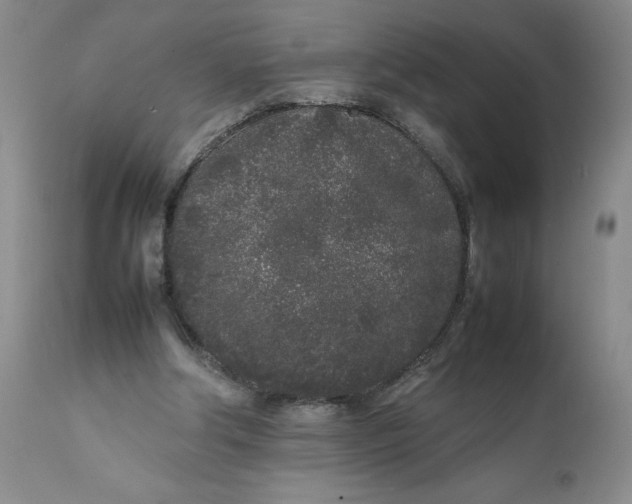 X0000112040202200908241611
