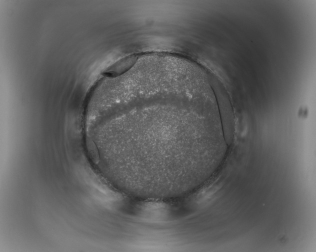 X0000112040203200908241611