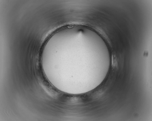 X0000112040204200908241611