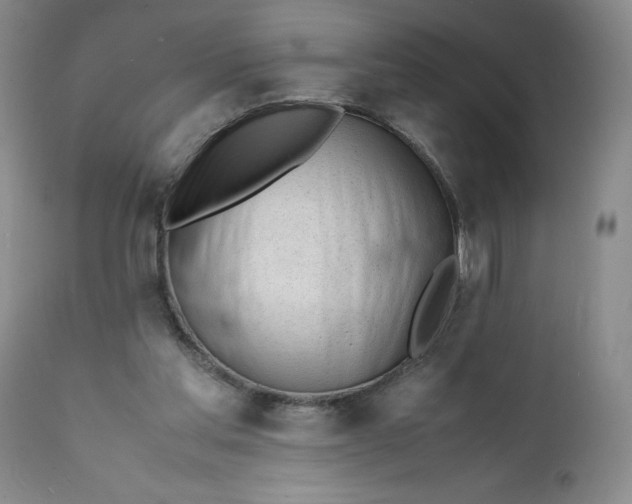 X0000112040205200908241611