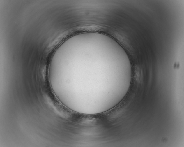 X0000112040206200908241611